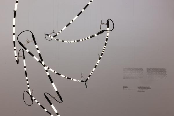 Brigitte Kowanz &quot;Licht ist, was wir sehen&quot; (Albertina, 18.7. - 16.11.2025) Foto: eSeL.at - Lorenz Seidler