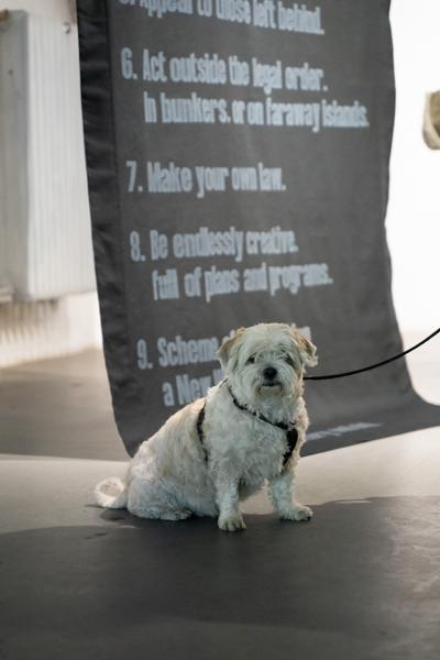 Against the Playbook (das weisse haus, 12.02.2026) Foto: eSeL.at - Sarah Tasha