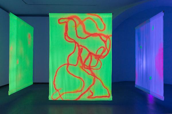 Mauroner: Bruno Peinado  - The Times They Are A Changing (11.11.2017 - 10.02.2018) https://esel.at/termin/93461 | Foto: eSeL Foto: eSeL.at - Lorenz Seidler