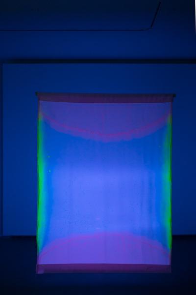 Mauroner: Bruno Peinado  - The Times They Are A Changing (11.11.2017 - 10.02.2018) https://esel.at/termin/93461 | Foto: eSeL Foto: eSeL.at - Lorenz Seidler
