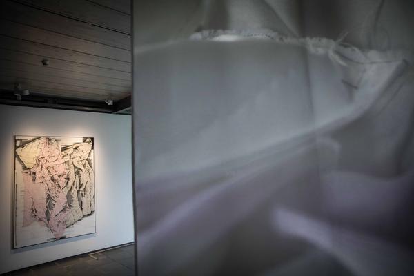 Preis der Kunsthalle Wien 2017:  Marlene Maier & Olena Newkryta -  "Everything a Hand Can't Take" (Kunsthalle Karlsplatz, 30.11.2017 - 14.1.2018, Pressekonferenz) https://esel.at/termin/93794 | Fot: eSeL Foto: eSeL.at - Lorenz Seidler