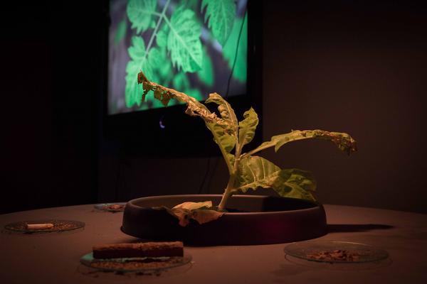 Kunst Haus Wien / Garage: The Big Invisible (19.10.17-14.01.18) https://esel.at/termin/92941 | Foto: eSeL Foto: eSeL.at - Lorenz Seidler