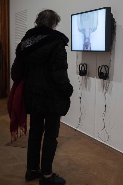 Unteres Belvedere: Die Kraft des Alterns (17.11.2017 - 4.3.2018) http://2017.viennaartweek.at/de/program/ausstellung-die-kraft-des-alters | Foto: eSeL Foto: eSeL.at - Lorenz Seidler