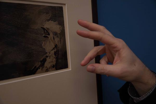 Leopold Museum: Victor Hugo. Der schwarze Romantiker (18.11.2017 - 15.1.2018, Preview) http://2017.viennaartweek.at/de/program/ausstellung-victor-hugo-der-schwarze-romantiker | Foto: eSeL Foto: eSeL.at - Lorenz Seidler