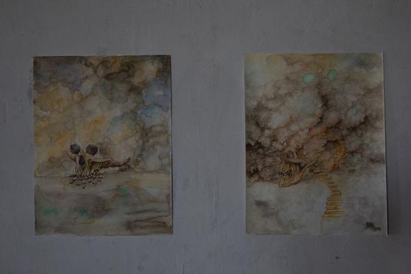 Akademie der Bildenden Künste Wien: Ali Saadat @ Abschlussarbeiten 2017/18 (Semperdepot - Lehargasse, 22.6. - 29.6.2018, Preview) https://esel.cc/akbild_Abschluss17-18 | Foto: eSeL Foto: eSeL.at - Lorenz Seidler