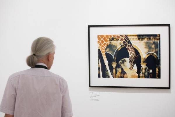 Albertina: Alfred Seiland (13.6. - 7.10.2018, Presserundgang ) https://albertina.at/ausstellungen/alfred-seiland | Foto: eSeL Foto: eSeL.at - Lorenz Seidler