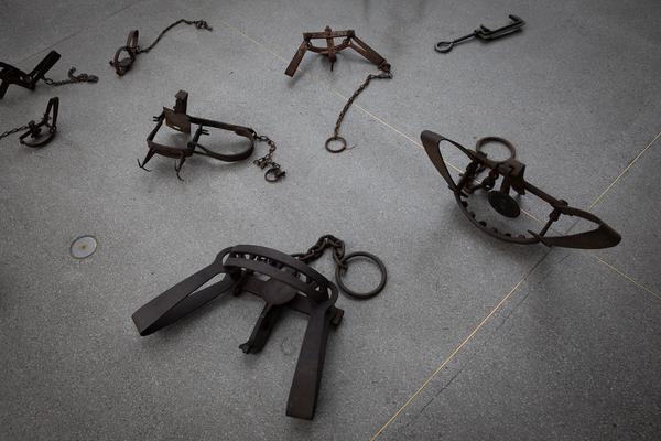 Secession: Andere Mechanismen (29.6. - 2.9.2018) https://esel.me/termin/94363 | Foto: eSeL Foto: eSeL.at - Lorenz Seidler