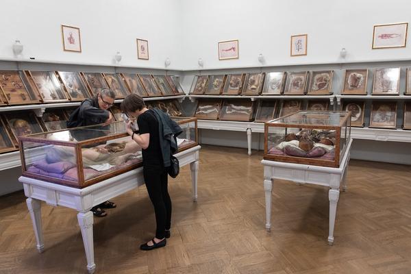 Josephinum: Anna Artaker, Tatiana Lecomte: Chiasmata 17-18 (9.5. - 6.10.2018Eröffnung) https://esel.at/termin/96480 | Foto: eSeL Foto: eSeL.at - Lorenz Seidler