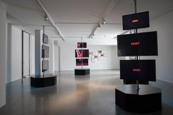 Belvedere 21: Anna Witt - Human Flag (28.2. - 27.5.2018) https://esel.at/termin/94337 | Foto: eSeL Foto: eSeL.at - Lorenz Seidler