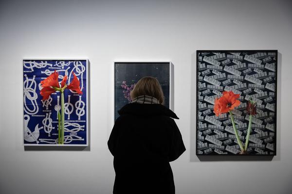 Kunsthalle Wien: Annette Kelm - Tomato Target (Eröffnung, 14.12. - 24.3.2018) http://www.kunsthallewien.at/#/de/ausstellungen/annette-kelm-tomato-target | Foto: eSeL Foto: eSeL.at - Lorenz Seidler