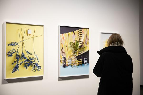 Kunsthalle Wien: Annette Kelm - Tomato Target (Eröffnung, 14.12. - 24.3.2018) http://www.kunsthallewien.at/#/de/ausstellungen/annette-kelm-tomato-target | Foto: eSeL Foto: eSeL.at - Lorenz Seidler