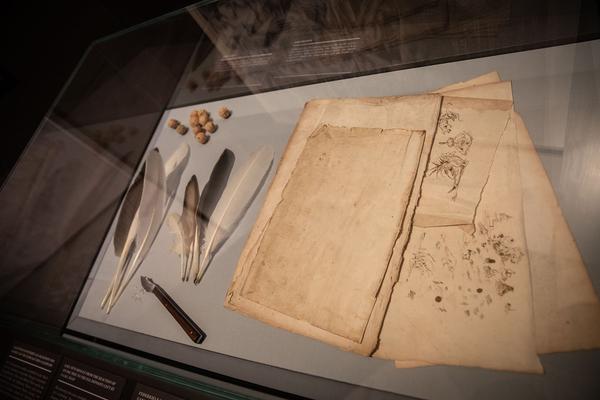 Kunsthistorisches Museum: Bruegel (2.10.2018 - 13.1.2019) https://esel.at/termin/98402 | Foto: eSeL Foto: eSeL.at - Lorenz Seidler