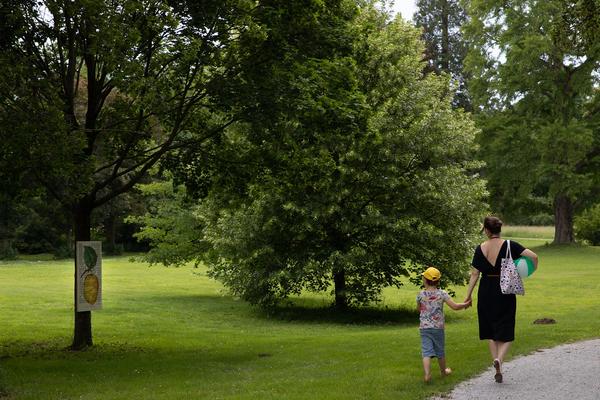 Kunst im öffentlichen Raum Niederösterreich: Counterpoints II – Kunst im Park 2018 (27.5.2018) https://esel.at/termin/96577 | Foto: eSeL Foto: eSeL.at - Lorenz Seidler