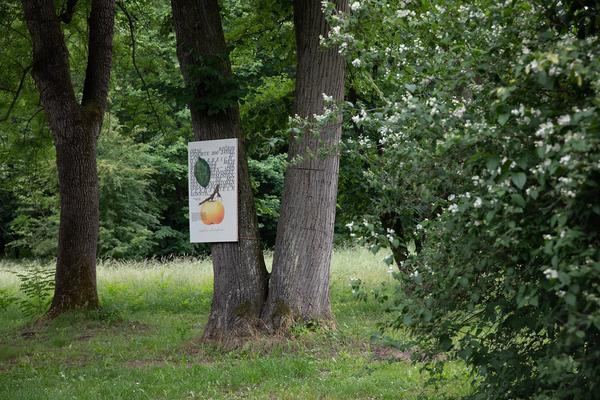 Kunst im öffentlichen Raum Niederösterreich: Counterpoints II – Kunst im Park 2018 (27.5.2018) https://esel.at/termin/96577 | Foto: eSeL Foto: eSeL.at - Lorenz Seidler