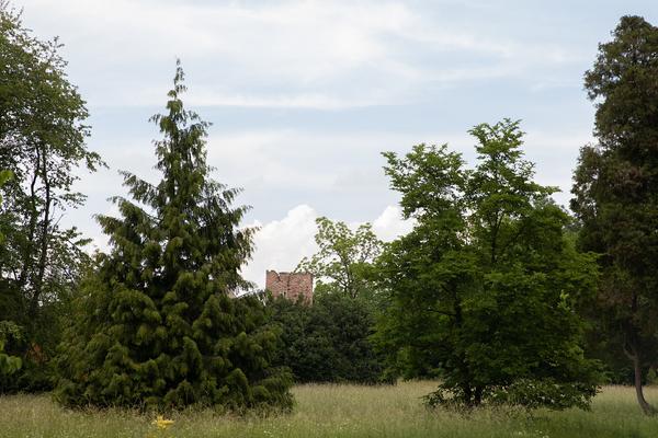 Kunst im öffentlichen Raum Niederösterreich: Counterpoints II – Kunst im Park 2018 (27.5.2018) https://esel.at/termin/96577 | Foto: eSeL Foto: eSeL.at - Lorenz Seidler