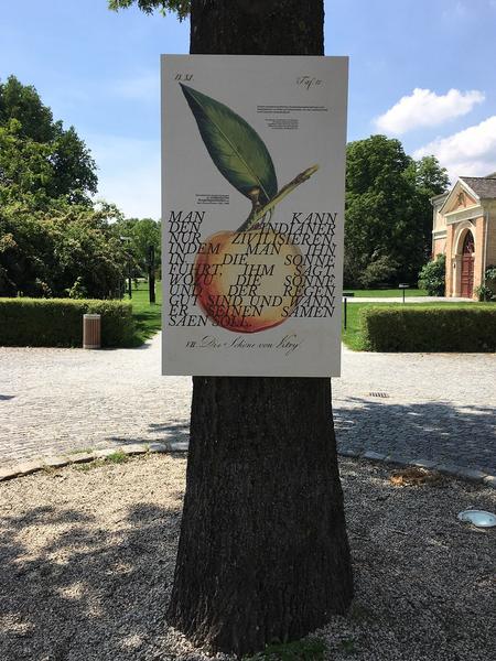 Kunst im öffentlichen Raum Niederösterreich: Counterpoints II – Kunst im Park 2018 (27.5.2018) https://esel.at/termin/96577 | Foto: eSeL