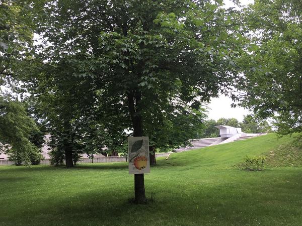 Kunst im öffentlichen Raum Niederösterreich: Counterpoints II – Kunst im Park 2018 (27.5.2018) https://esel.at/termin/96577 | Foto: eSeL