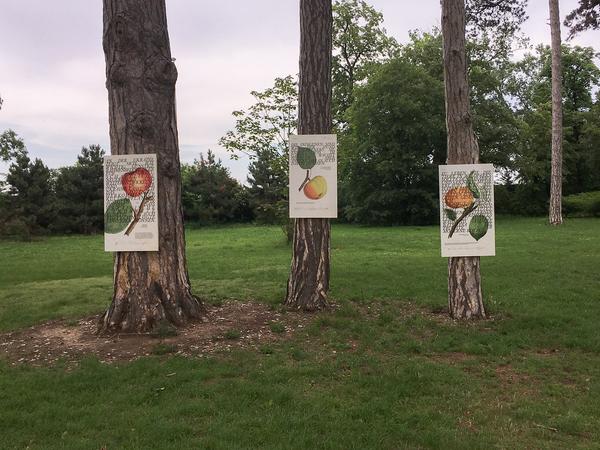 Kunst im öffentlichen Raum Niederösterreich: Counterpoints II – Kunst im Park 2018 (27.5.2018) https://esel.at/termin/96577 | Foto: eSeL