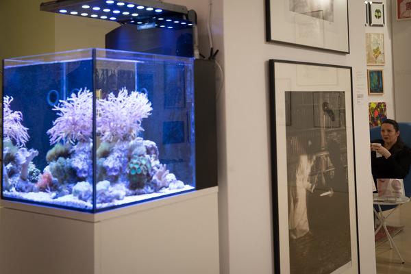 Palais Niederösterreich: Den Blick öffnen - WIKAM - Wiener Kunst & Antiquitätenmesse (24.2. - 4.3.2018) http://ferstel.wikam.at | Foto: eSeL Foto: eSeL.at - Lorenz Seidler