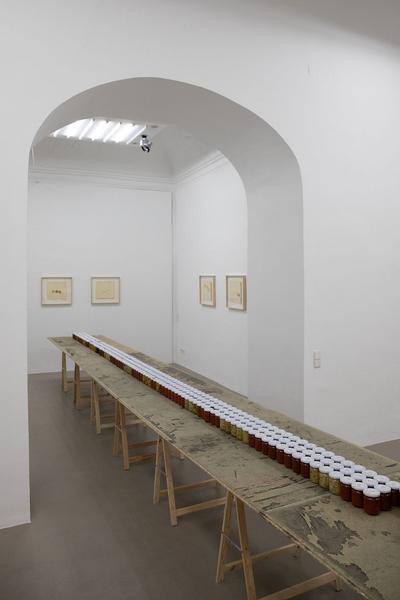 Galerie Charim: Edgar Honetschläger: Nature is an Impossibility  (14.12.2018 - 19.1.2019) https://esel.at/termin/99329/edgar-honetschlager-nature-is-an-impossibility | Foto: eSeL Foto: eSeL.at - Lorenz Seidler
