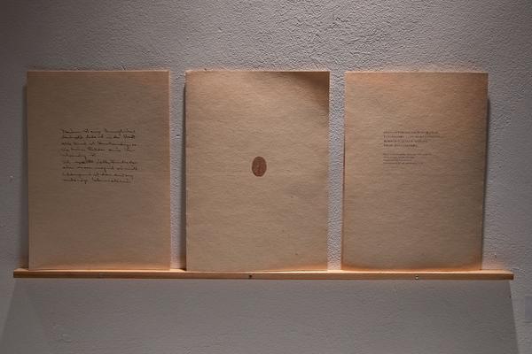 Galerie Charim: Edgar Honetschläger: Nature is an Impossibility  (14.12.2018 - 19.1.2019) https://esel.at/termin/99329/edgar-honetschlager-nature-is-an-impossibility | Foto: eSeL Foto: eSeL.at - Lorenz Seidler