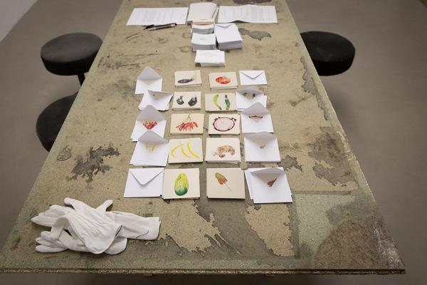 Galerie Charim: Edgar Honetschläger: Nature is an Impossibility  (14.12.2018 - 19.1.2019) https://esel.at/termin/99329/edgar-honetschlager-nature-is-an-impossibility | Foto: eSeL Foto: eSeL.at - Lorenz Seidler