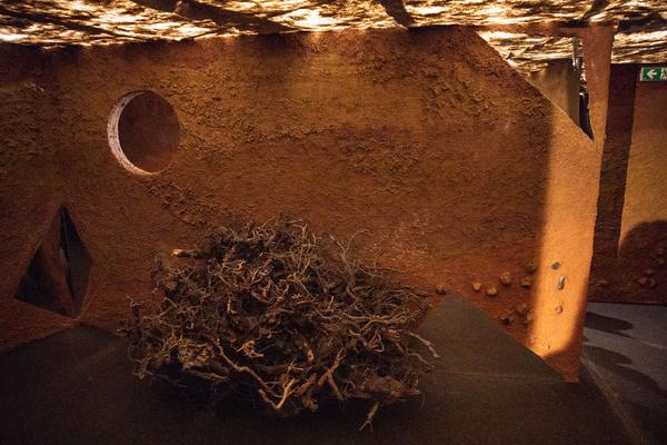 ZOOM Kindermuseum: Erde Erde (26.9.2018 - 24.2.2019, Eröffnung) https://esel.me/termin/98293 | Foto: eSeL Foto: eSeL.at - Lorenz Seidler