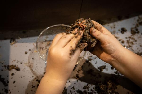 ZOOM Kindermuseum: Erde Erde (26.9.2018 - 24.2.2019, Eröffnung) https://esel.me/termin/98293 | Foto: eSeL Foto: eSeL.at - Lorenz Seidler