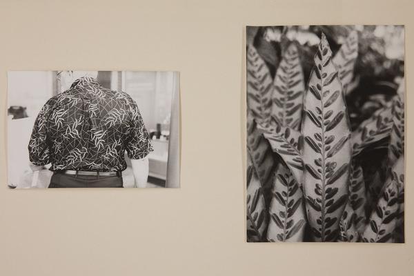 Kunst Haus Wien: Jochen Lempert - Some Plant Volatiles (Garage, 12.04.-10.06.2018, Aufbau) http://www.kunsthauswien.com/de/ausstellungen/jochen-lempert | Foto: eSeL Foto: eSeL.at - Lorenz Seidler