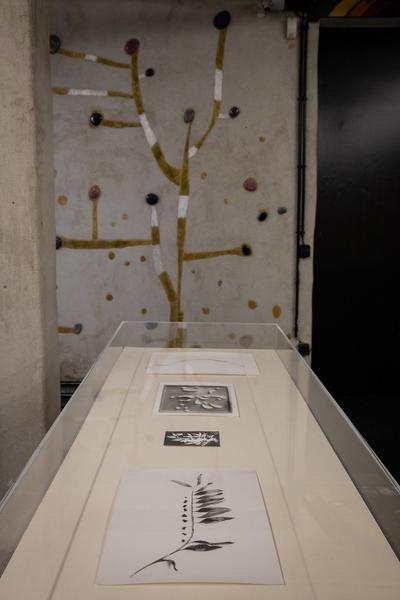 Kunst Haus Wien: Jochen Lempert - Some Plant Volatiles (Garage, 12.04.-10.06.2018, Aufbau) http://www.kunsthauswien.com/de/ausstellungen/jochen-lempert | Foto: eSeL Foto: eSeL.at - Lorenz Seidler