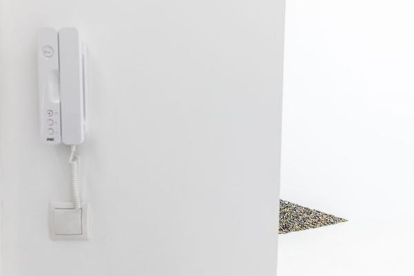 Raumstation: Michael Gumhold @ Fishbowl (25.5. - 8.6.2018) https://esel.at/termin/96775 | Foto: eSeL Foto: eSeL.at - Lorenz Seidler