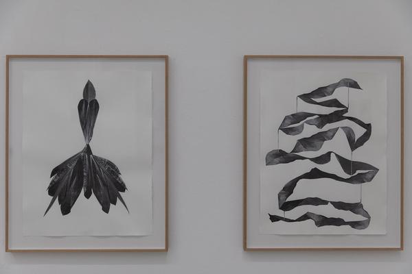 Galerie Lisa Kandlhofer: Frauke Dannert -  folie [fɔli] (23.3. - 28.4.2018) https://esel.at/termin/95541 | Foto: eSeL Foto: eSeL.at - Lorenz Seidler