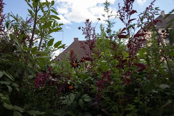 Green Art Tulln - Gartenkunstwerke im öffentlichen Raum: Artemisia Garten - Hannah Stippl, Anita Duller  (Mai - September 2018) https://www.tulln.at/green-art/green-art-erleben/gartenkunstwerke/ Foto: eSeL.at - Lorenz Seidler