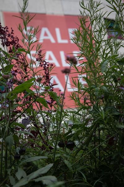 Green Art Tulln - Gartenkunstwerke im öffentlichen Raum: Artemisia Garten - Hannah Stippl, Anita Duller  (Mai - September 2018) https://www.tulln.at/green-art/green-art-erleben/gartenkunstwerke/ Foto: eSeL.at - Lorenz Seidler