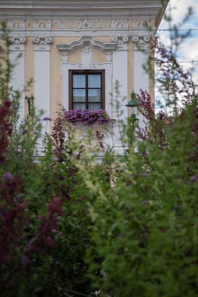Green Art Tulln - Gartenkunstwerke im öffentlichen Raum: Artemisia Garten - Hannah Stippl, Anita Duller  (Mai - September 2018) https://www.tulln.at/green-art/green-art-erleben/gartenkunstwerke/ Foto: eSeL.at - Lorenz Seidler