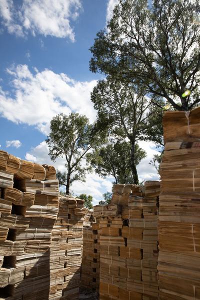 Green Art Tulln - Gartenkunstwerke im öffentlichen Raum: Hannes Gröblacher "Zwischen den Zeilen" (Mai - September 2018) https://www.tulln.at/green-art/green-art-erleben/gartenkunstwerke/ Foto: eSeL.at - Lorenz Seidler