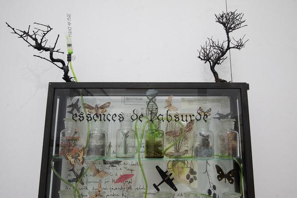 TullnArt: Sonia Gansterer @ Garten der Künstler  (5.5. - 30.9.2018, Rathaus, Tulln) https://esel.at/termin/96469 | Foto: eSeL Foto: eSeL.at - Lorenz Seidler