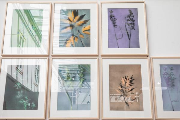 TullnArt – Garten der Künstler  (5.5. - 30.9.2018, Rathaus, Tulln) https://esel.at/termin/96469 | Foto: eSeL Foto: eSeL.at - Lorenz Seidler