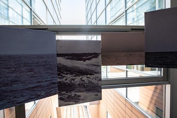 Hauptbücherei: Into the City: Wendelin Pressl @ Archipelago – De la créolité à la diversalité (29.5 - 16.6.2018) https://esel.at/termin/97003 | Foto: eSeL Foto: eSeL.at - Lorenz Seidler