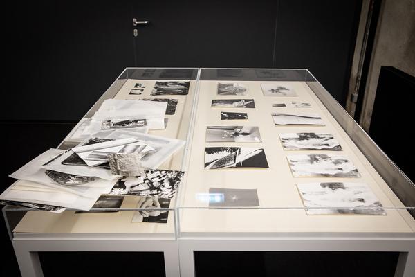 Kunst Haus Wien: Jochen Lempert - Some Plant Volatiles (Garage, 12.04.-10.06.2018, Aufbau) http://www.kunsthauswien.com/de/ausstellungen/jochen-lempert | Foto: eSeL Foto: eSeL.at - Lorenz Seidler