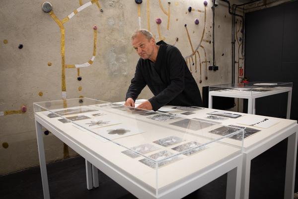 Kunst Haus Wien: Jochen Lempert - Some Plant Volatiles (Garage, 12.04.-10.06.2018, Aufbau) http://www.kunsthauswien.com/de/ausstellungen/jochen-lempert | Foto: eSeL Foto: eSeL.at - Lorenz Seidler