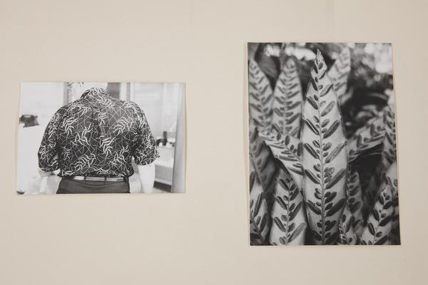 Kunst Haus Wien: Jochen Lempert - Some Plant Volatiles (Garage, 12.04.-10.06.2018, Aufbau) http://www.kunsthauswien.com/de/ausstellungen/jochen-lempert | Foto: eSeL Foto: eSeL.at - Lorenz Seidler