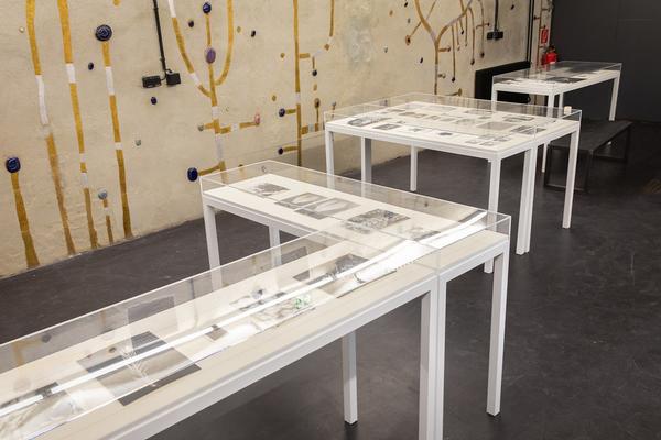 Kunst Haus Wien: Jochen Lempert - Some Plant Volatiles (Garage, 12.04.-10.06.2018, Aufbau) http://www.kunsthauswien.com/de/ausstellungen/jochen-lempert | Foto: eSeL Foto: eSeL.at - Lorenz Seidler
