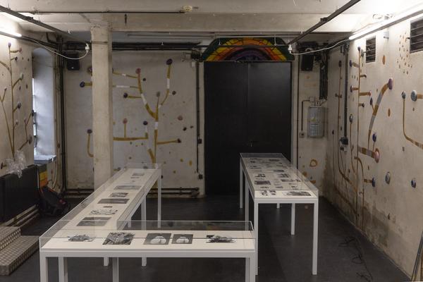 Kunst Haus Wien: Jochen Lempert - Some Plant Volatiles (Garage, 12.04.-10.06.2018, Aufbau) http://www.kunsthauswien.com/de/ausstellungen/jochen-lempert | Foto: eSeL Foto: eSeL.at - Lorenz Seidler