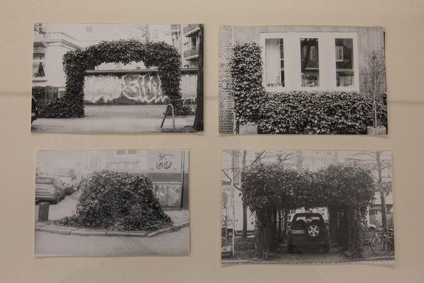 Kunst Haus Wien: Jochen Lempert - Some Plant Volatiles (Garage, 12.04.-10.06.2018, Aufbau) http://www.kunsthauswien.com/de/ausstellungen/jochen-lempert | Foto: eSeL Foto: eSeL.at - Lorenz Seidler