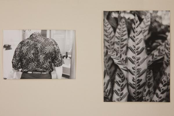 Kunst Haus Wien: Jochen Lempert - Some Plant Volatiles (Garage, 12.04.-10.06.2018, Aufbau) http://www.kunsthauswien.com/de/ausstellungen/jochen-lempert | Foto: eSeL Foto: eSeL.at - Lorenz Seidler