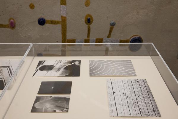 Kunst Haus Wien: Jochen Lempert - Some Plant Volatiles (Garage, 12.04.-10.06.2018, Aufbau) http://www.kunsthauswien.com/de/ausstellungen/jochen-lempert | Foto: eSeL Foto: eSeL.at - Lorenz Seidler