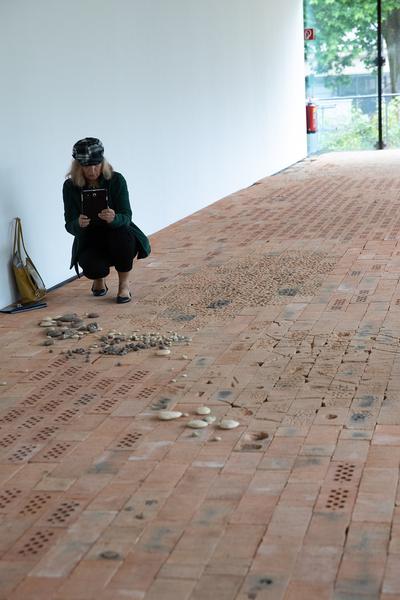 Kunsthalle Wien Karlsplatz: Kate Newby "I can't nail the days down"  (16.5. - 2.9.2018, Presserundgang) https://esel.at/termin/94891 | Foto: eSeL Foto: eSeL.at - Lorenz Seidler