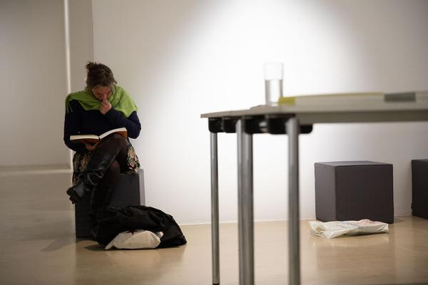 Landmarks. Buchpräsentation Kunst im öffentlichen Raum Niederösterreich 1988-2018 (Kunstraum Niederösterreich, 12.12.2018) http://www.publicart.at/de/kalender/?pid=973 | Foto: eSeL Foto: eSeL.at - Lorenz Seidler