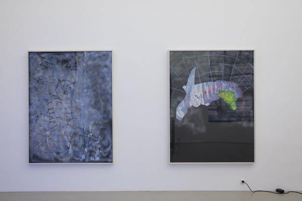 Galerie Meyer Kainer: Lemurenheim (17.1. - 21.3.2018) https://esel.at/termin/94479 | Foto: eSeL Foto: eSeL.at - Lorenz Seidler